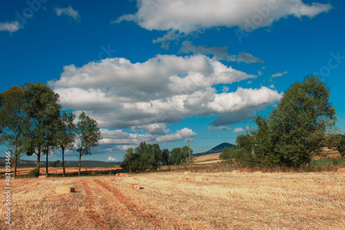 Landscape with blue sky and clouds. 
