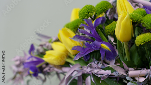 yellow and purple iris