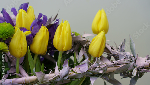 tulip flowers