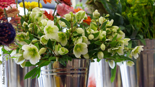 bouquet of tulips