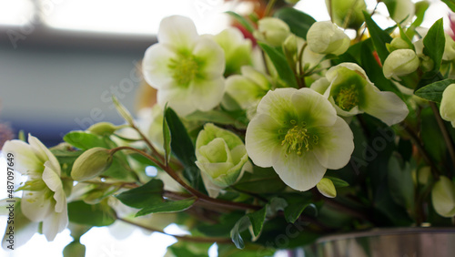 bouquet of white flowers