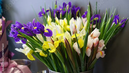 spring flowers and crocuses