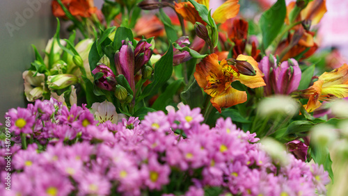 flowers in the garden
