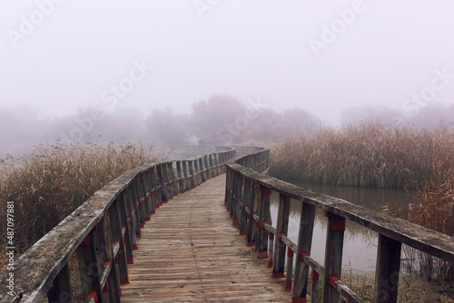 Crossing a bridge of wood in a foggy autumn day 