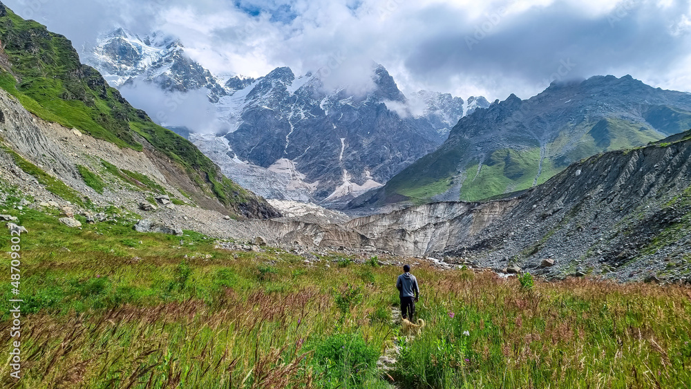 A man hiking and enjoying the panoramic view on the Shkhara Glacier in the Greater Caucasus Mountain Range in Georgia, Svaneti Region, Ushguli. Wanderlust, Alpine pasture. Blooming flower.