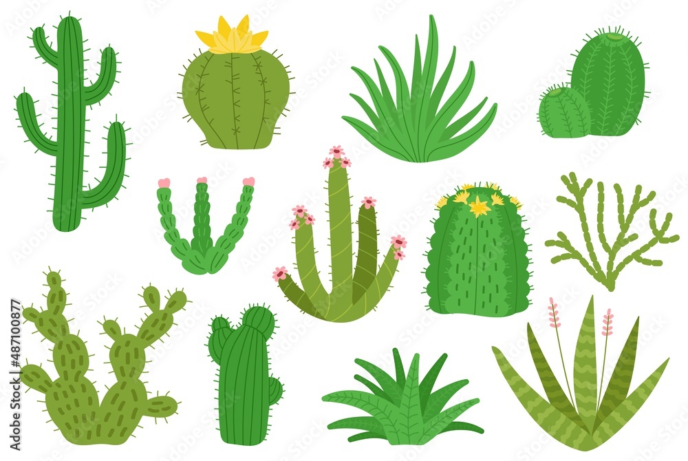 Mexican cactus. Isolated mexico cacti, houseplants decorative set. Desert green cactuses, nature blooming plants succulents. Cartoon decent vector cute botanical kit Mexican cactus. Isolated mexico cacti, houseplants decorative set. Desert green cactuses, nature blooming plants succulents. Cartoon decent vector cute botanical kit