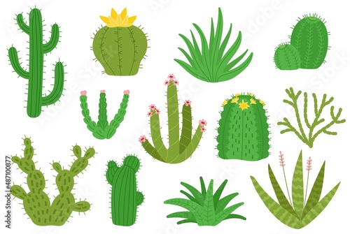 Mexican cactus. Isolated mexico cacti, houseplants decorative set. Desert green cactuses, nature blooming plants succulents. Cartoon decent vector cute botanical kit