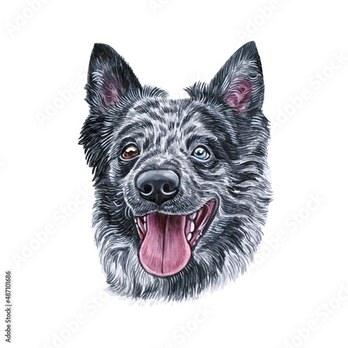 Watercolor illustration of a funny dog. Hand made character. Portrait cute dog isolated on white background. Watercolor hand-drawn illustration. Popular breed dog.