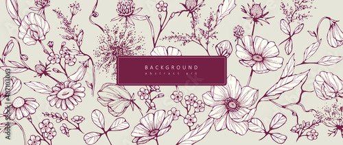 Luxury botanical background with trendy wildflowers and minimalist flowers for wall decoration or wedding. Hand drawn line herb, elegant leaves for invitation save the date card. Botanical rustic