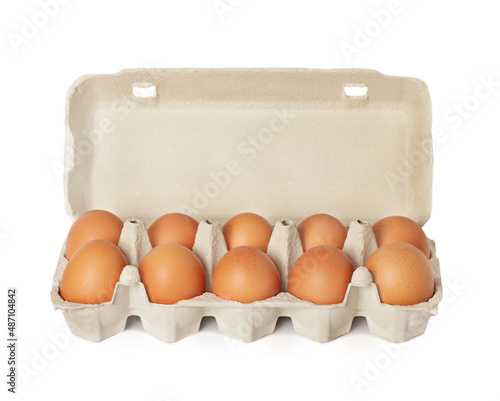 Chicken eggs in box tray
