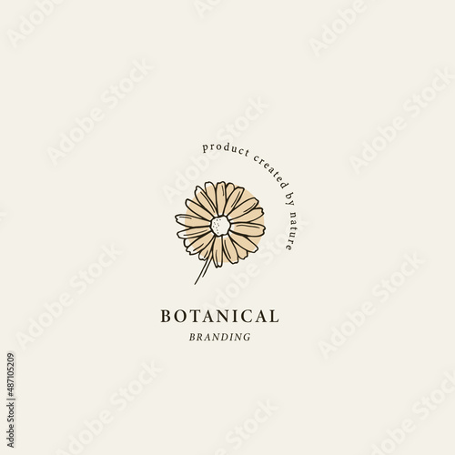 Line art chamomile flower logo