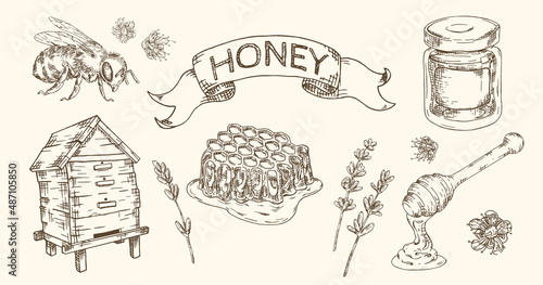 Honey hand drawn set with honeycombs, bee, jar hive and flowers. Isolated vector.