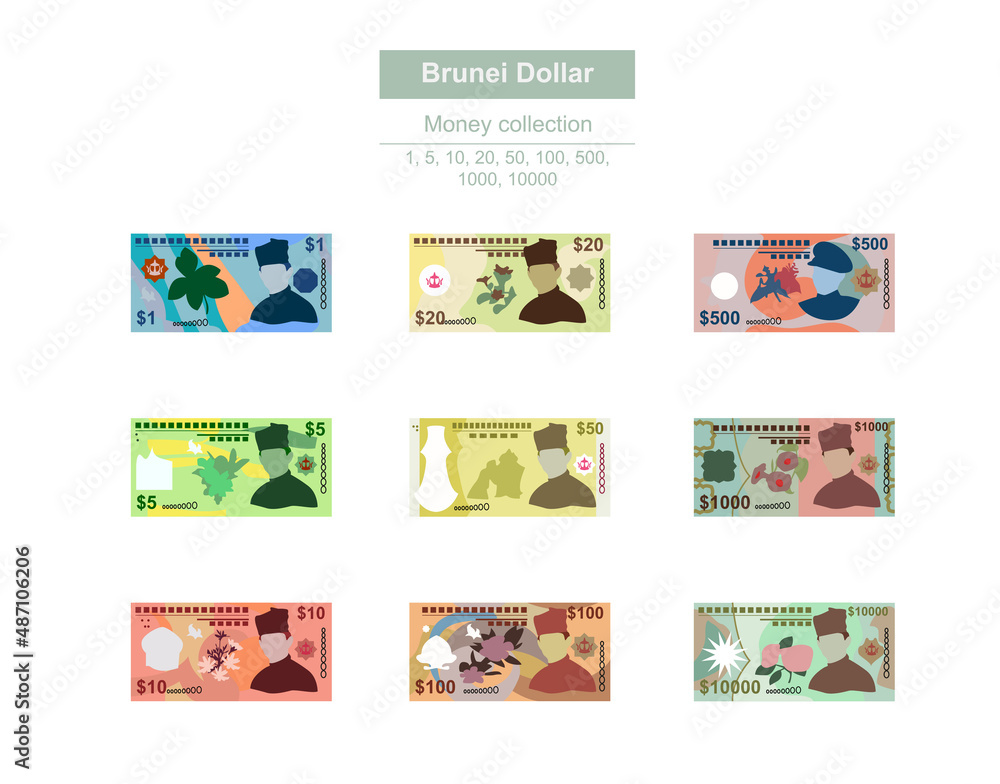 Brunei Dollar Vector Illustration. Brunei money set bundle banknotes. Paper money 1, 5, 10, 20, 50, 100, 500, 1000, 10000 BND. Flat style. Isolated on white background. Simple minimal design.