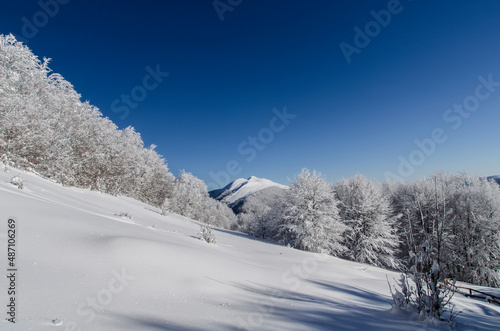 Bieszczadzkie połoniny zimą © wedrownik52