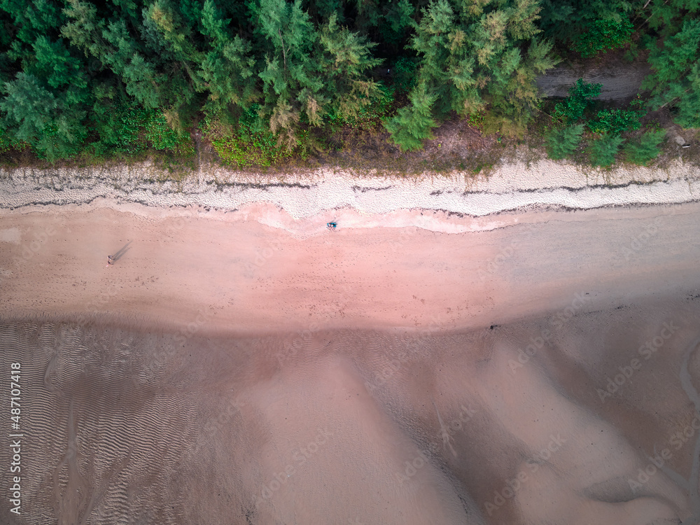 tree tops, background, asian forest and road, viev from above, drone photo, coniferous forest, mixed forest ground, beach, sea ​​at low tide