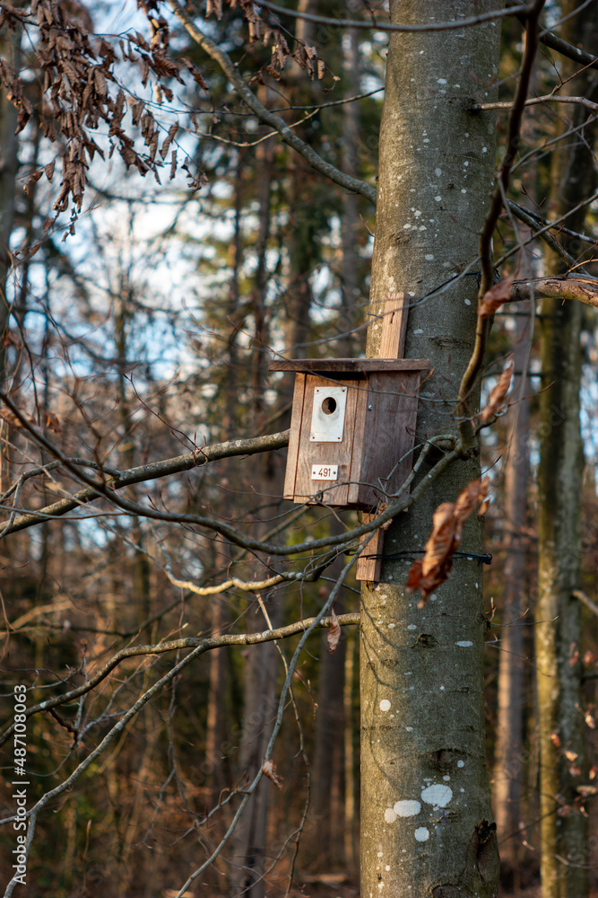 Handmaid wooden small birdhouse nailed to a tree in the forest. Daytime, sunlight, no people