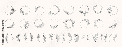 Fotografia, Obraz Floral branch and minimalist flowers for logo or tattoo