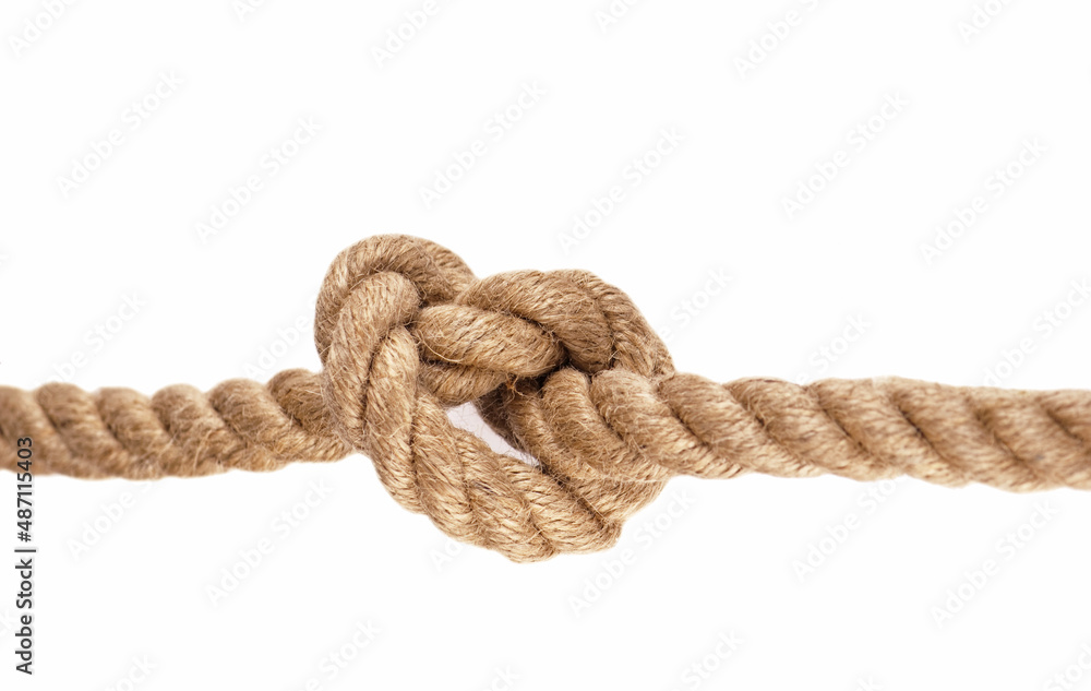 Knot on Wood. Rope with Reef Knot isolated on the white Background Knot on Wood. Rope with Reef Knot isolated on the white Background