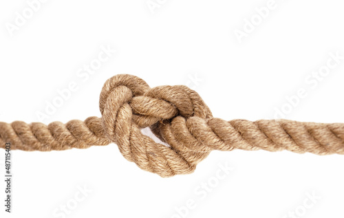 Knot on Wood. Rope with Reef Knot isolated on the white Background