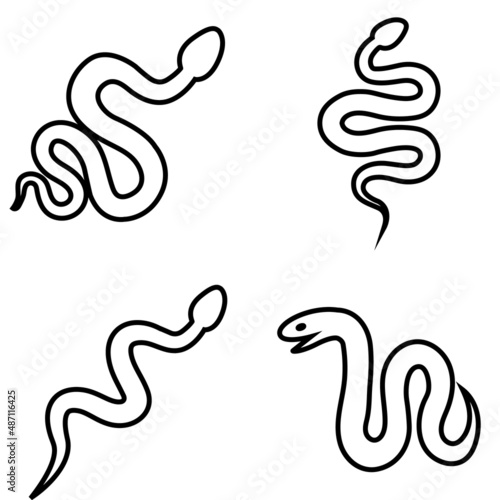 Snake line icon, vector outline logo isolated on white background