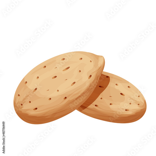 Almond in nutshell detailed raw nut, organic product, ingredient in cartoon style isolated on white background. Ripe plant, snack.