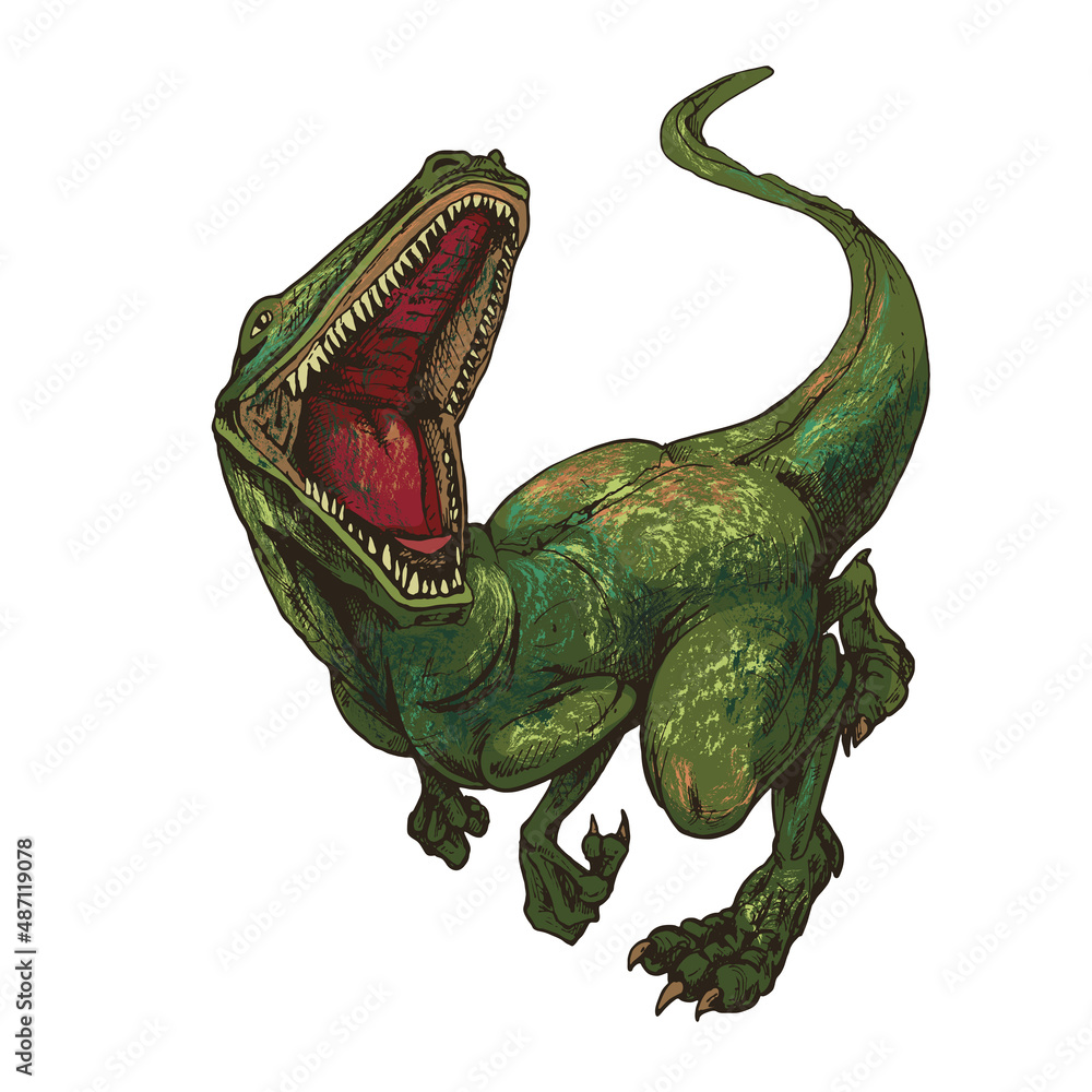 Fototapeta premium 464_tyrannosaurus_tyrannosaurus, dinosaur on white background with open mouth