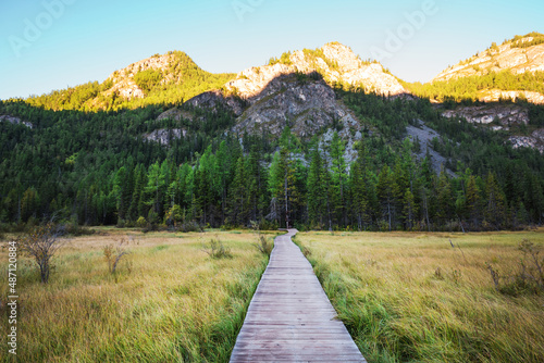 A path through a swamp made of wooden flooring. Siberia, Altai