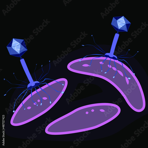 Bacteriophage virus on bacteria, dark background, vector illustration