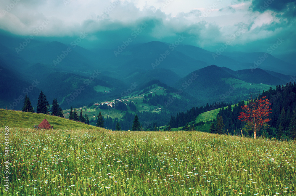 Carpathian mountain landscape