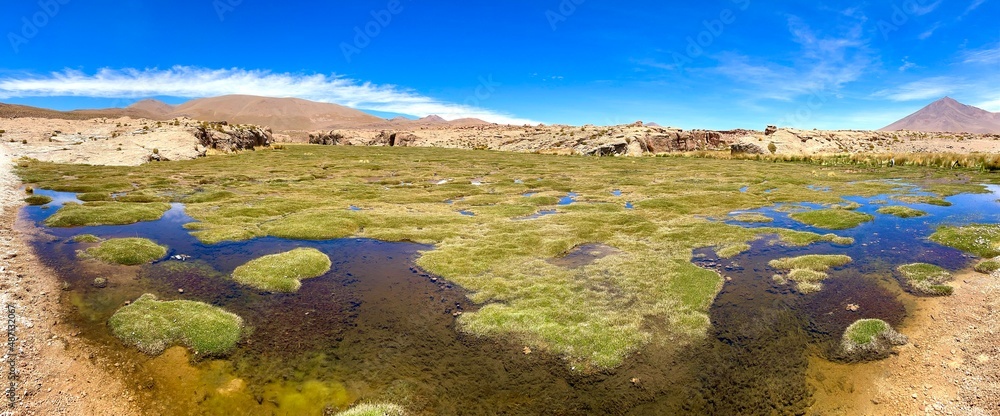 View of bog and morass in Potosi Department, Bolivia