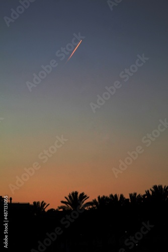 Palmeras en el anochecer