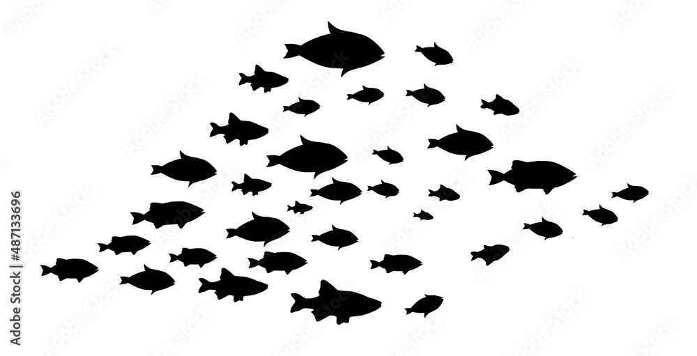 Silhouettes of groups of fishes on white Silhouettes of groups of fishes on white