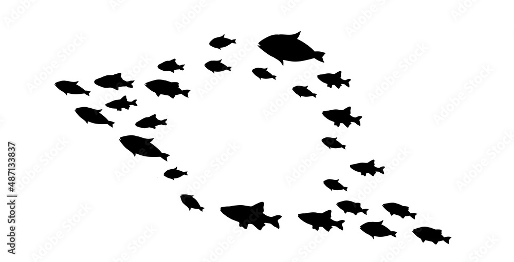 Silhouettes of groups of fishes on white Silhouettes of groups of fishes on white
