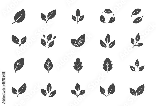 Leaf flat icons. Vector illustration include icon - botany, herbal, ecology, bio, organic, vegetarian, eco, fresh, nature glyph silhouette pictogram for flora