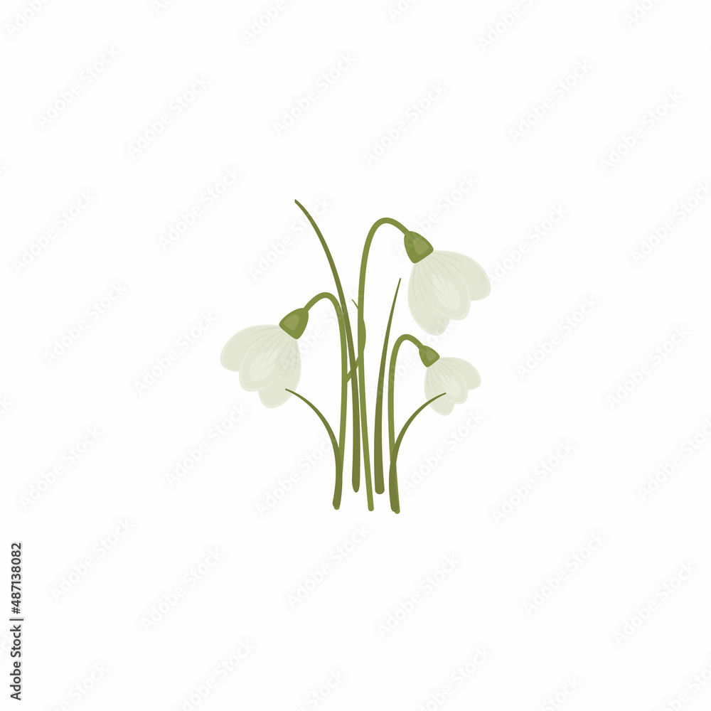 Fototapeta premium Spring flowers.Snowdrops blossoming through the snow. 
