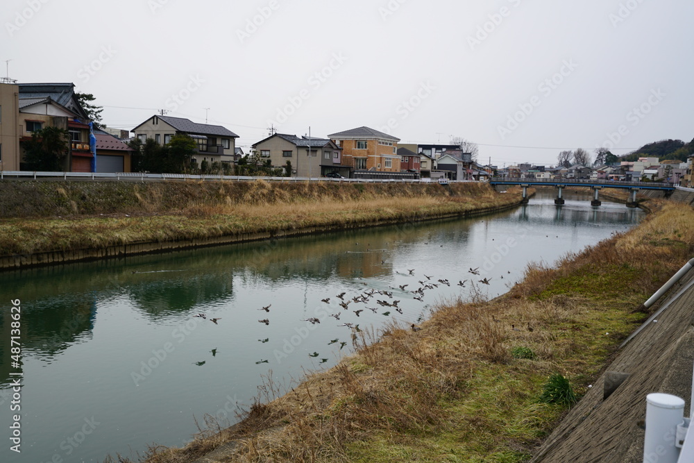 飛び立つ鴨 飛び立つ鴨