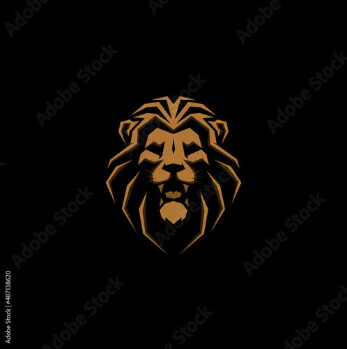 lion head logo vector illustration
