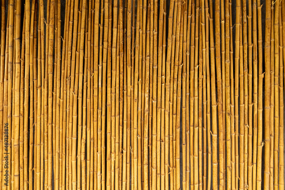 bamboo fence yellow vertical backround bamboo fence yellow vertical backround