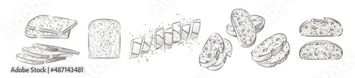 Set of sliced bread. The cut loaf of toast bread for sandwich. Logo, icon. Vector sketch realistic line vintage illustration