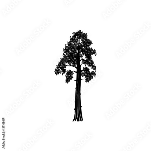 Sequoia icon isolated on clean background. Sequoia icon concept drawing icon in modern style. Vector illustration for your web mobile logo app UI design.