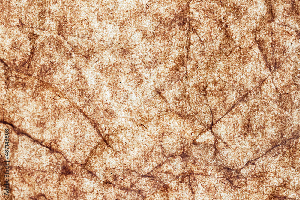 Fototapeta premium Wrinkled porous brown paper close-up. Background, texture