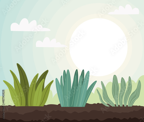 plants cultivating scene