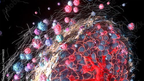 3D Rendering of Tumor Microenvironment Outer Fibroblast Layer photo