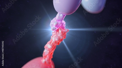3D rendering of PD-1 and PD-1L Molecules Binding in Detail photo