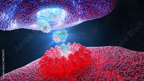 3D Rendering of Molecular Mechanism of T Cell Attack Using Granzyme and Perforin Proteins photo