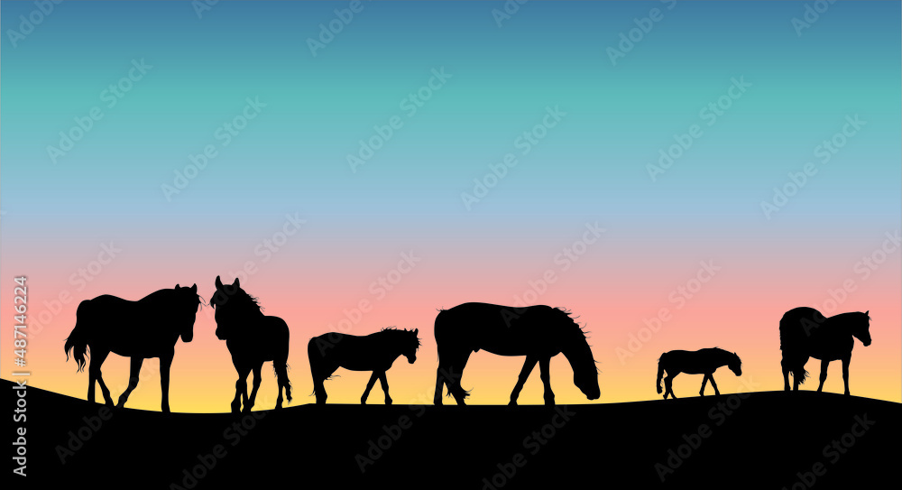 Horses silhouettes set vector illustration Horses silhouettes set vector illustration