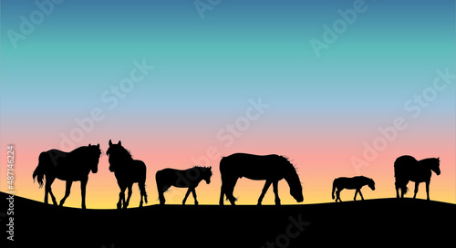 Horses silhouettes set vector illustration 