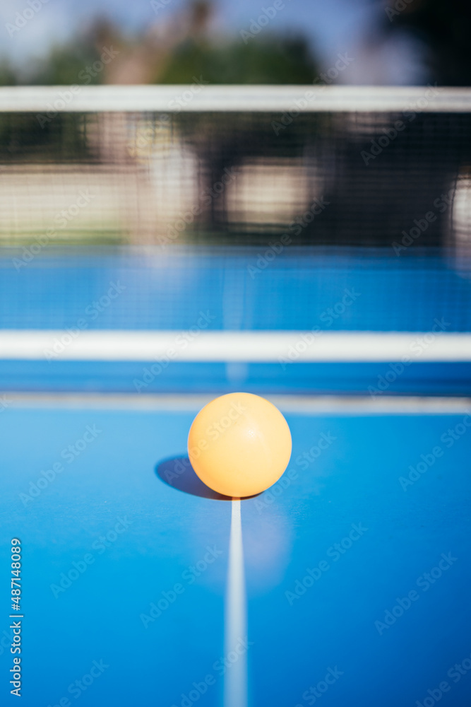 A table tennis ball next to the net