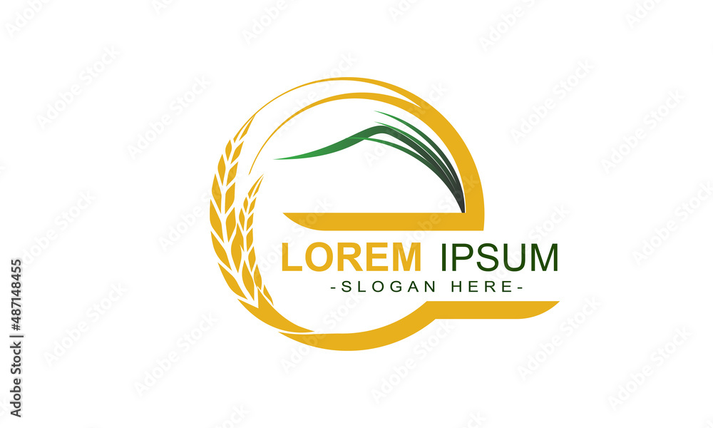 illustrration vector graphic of the wheat logo template illustrration vector graphic of the wheat logo template