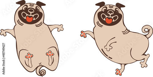 Funny animal character pug is posing